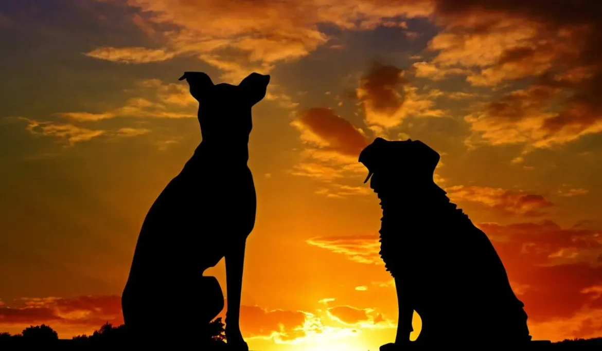 Rêver d’un chien signification, symboles et interprétations complètes