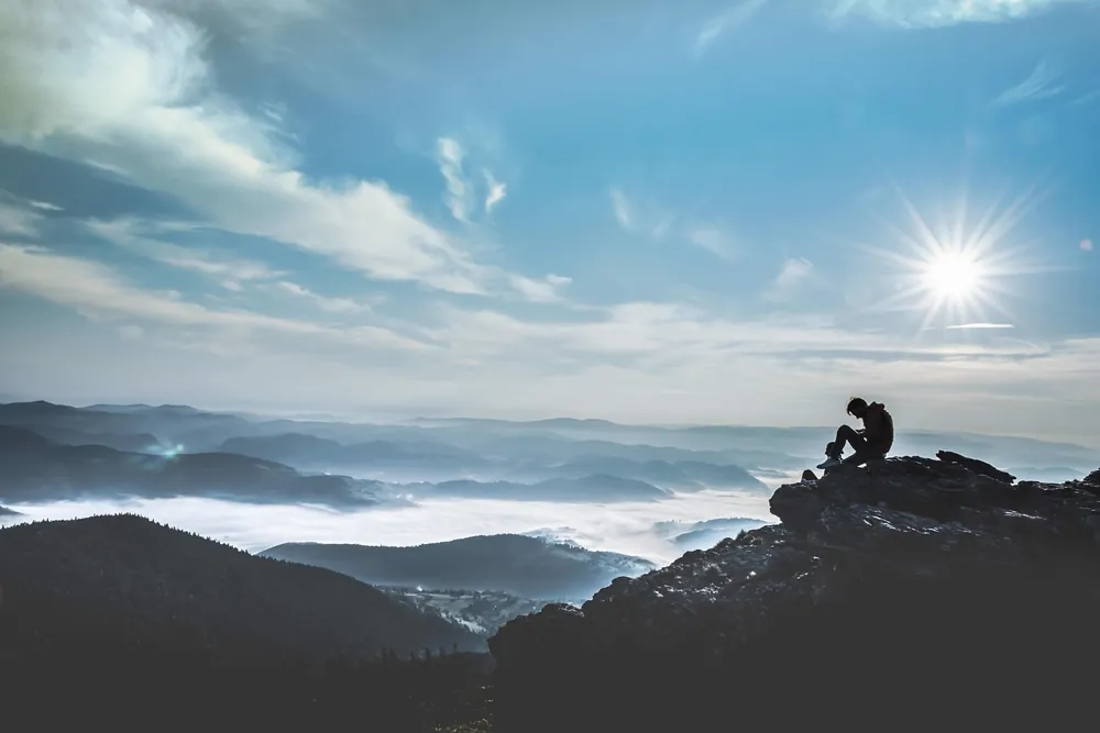 comprendre la resilience
